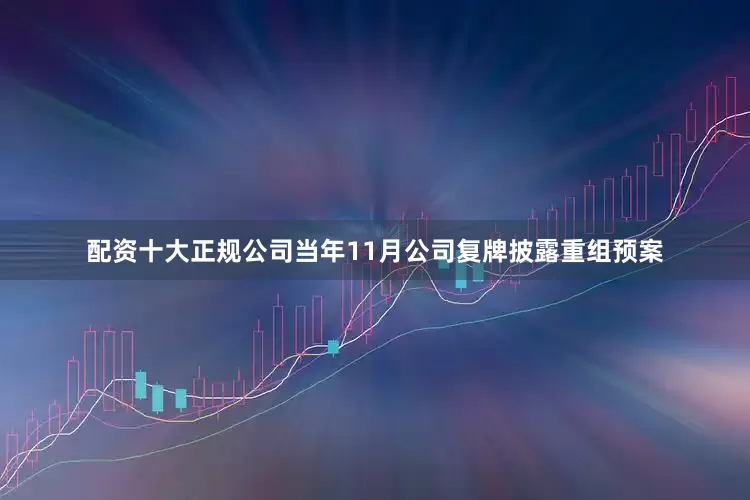配资十大正规公司当年11月公司复牌披露重组预案