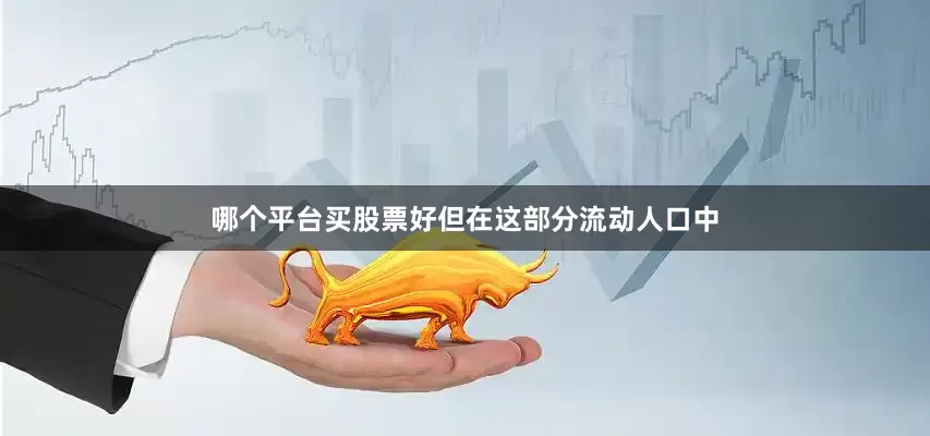 哪个平台买股票好但在这部分流动人口中