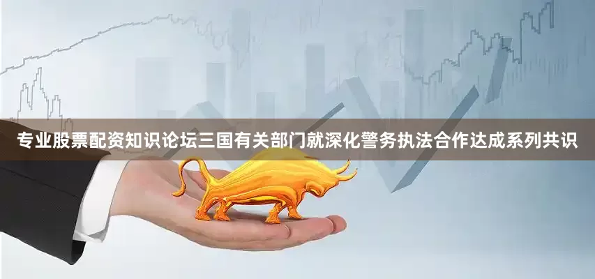 专业股票配资知识论坛三国有关部门就深化警务执法合作达成系列共识